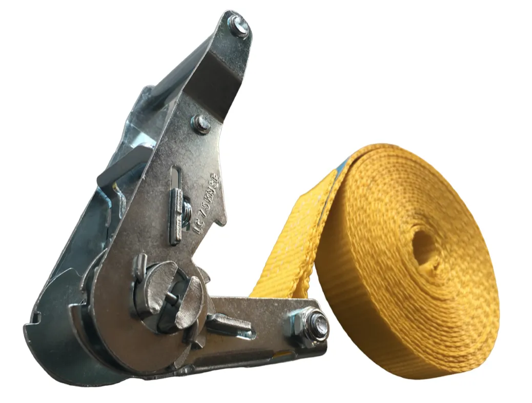 25mm Profi-Spanngurt 5m 