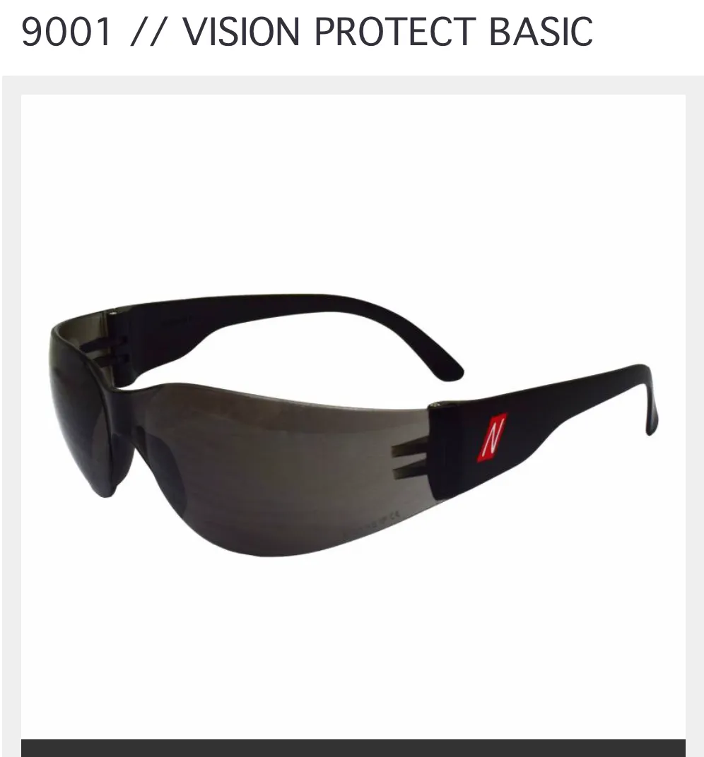 Schutzbrille Protect Basic Dark